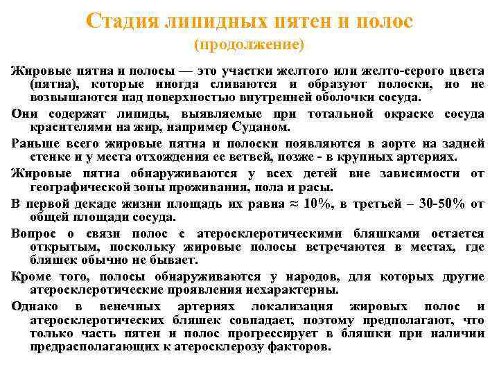 Стадия липидных пятен и полос (продолжение) Жировые пятна и полосы — это участки желтого