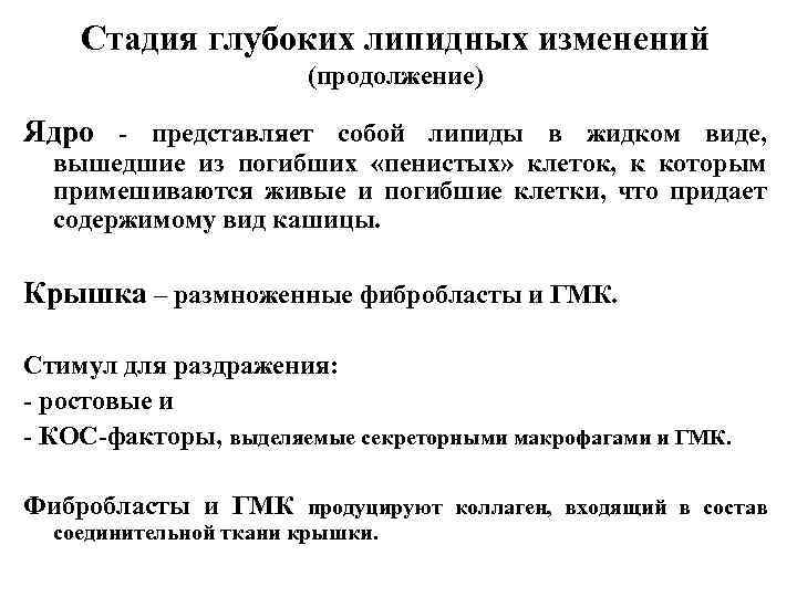 Стадия глубоких липидных изменений (продолжение) Ядро - представляет собой липиды в жидком виде, вышедшие