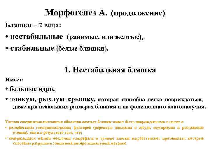 Морфогенез А. (продолжение) Бляшки – 2 вида: • нестабильные (ранимые, или желтые), • стабильные