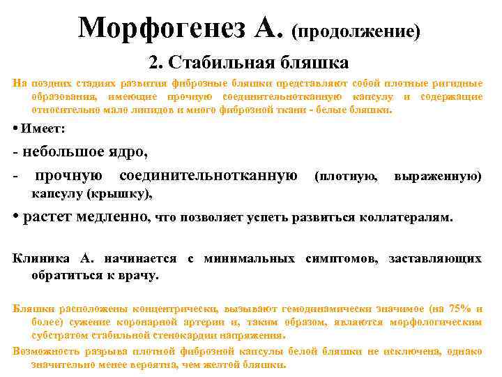 Морфогенез А. (продолжение) 2. Стабильная бляшка На поздних стадиях развития фиброзные бляшки представляют собой