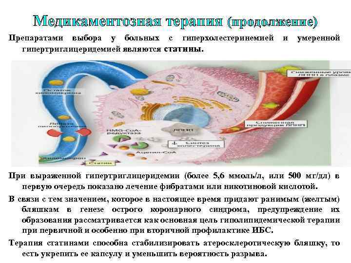 Медикаментозная терапия (продолжение) Препаратами выбора у больных с гиперхолестеринемией и умеренной гипертриглицеридемией являются статины.