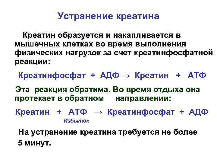 Устранение креатина Креатин образуется и накапливается в мышечных клетках во время выполнения физических нагрузок