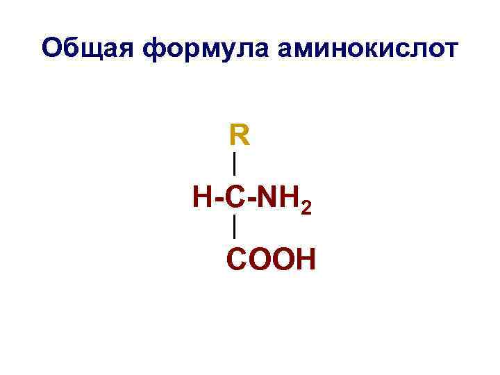 Общая формула аминокислот R H-C-NH 2 COOH 