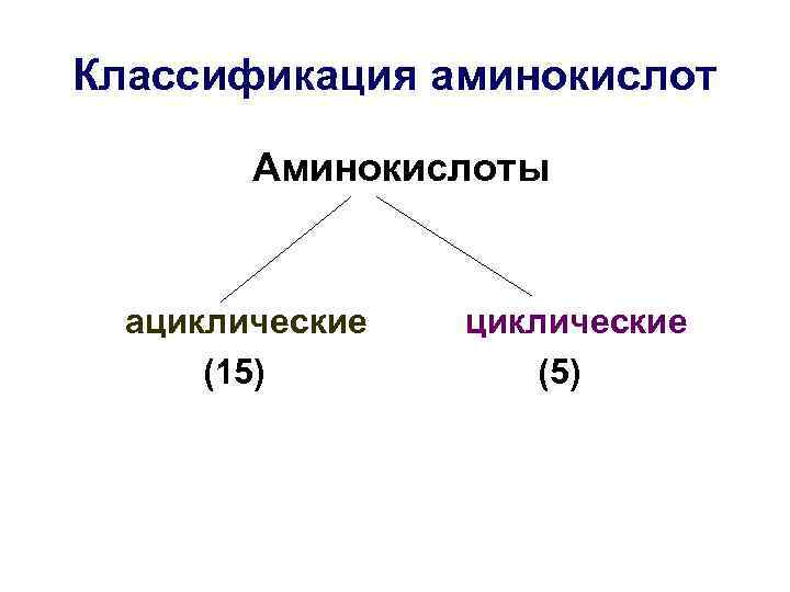 Классификация аминокислот Аминокислоты ациклические (15) циклические (5) 