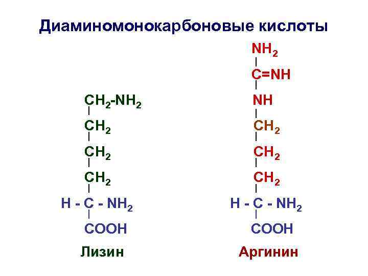 Диаминомонокарбоновые кислоты NH 2 C=NH СН 2 -NH 2 NH СH 2 СН 2