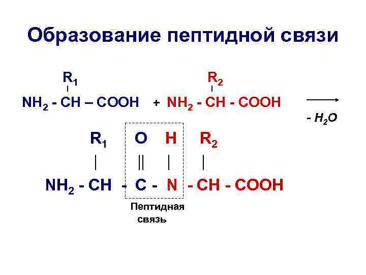 В соответствии со схемой r cooh r1 oh