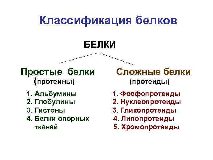 Классификация белков БЕЛКИ Простые белки (протеины) 1. Альбумины 2. Глобулины 3. Гистоны 4. Белки