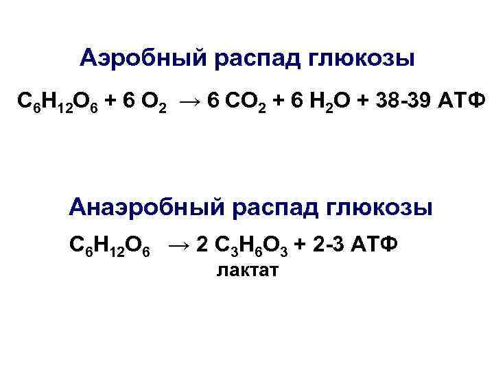 Общая схема распада глюкозы