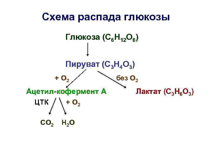 Аэробный распад глюкозы схема