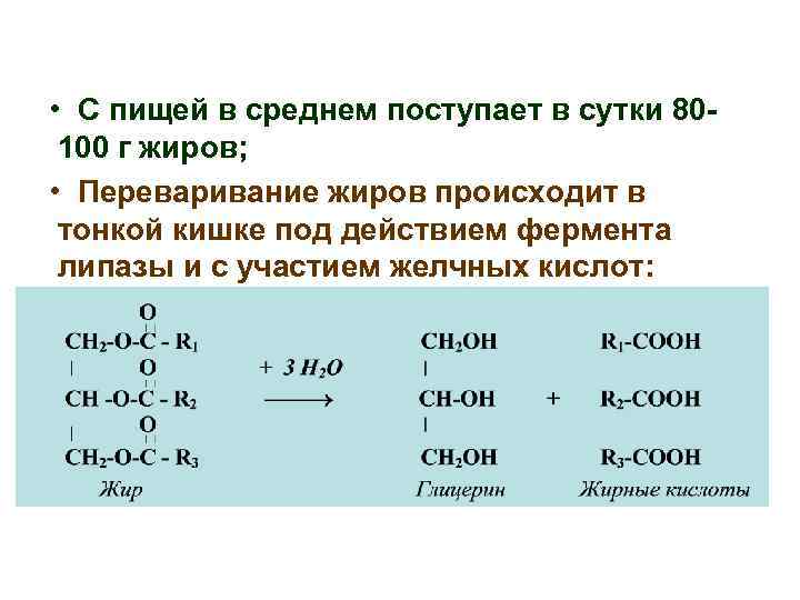  • С пищей в среднем поступает в сутки 80100 г жиров; • Переваривание