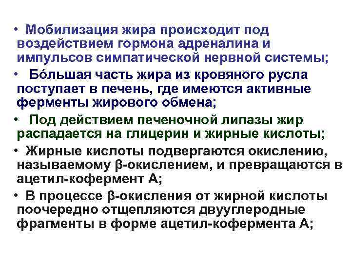  • Мобилизация жира происходит под воздействием гормона адреналина и импульсов симпатической нервной системы;