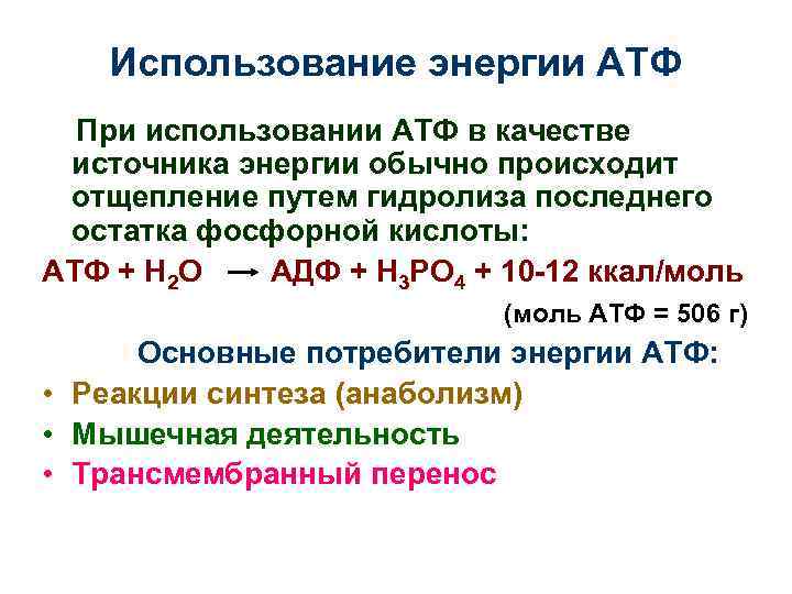 Процесс восстановления атф