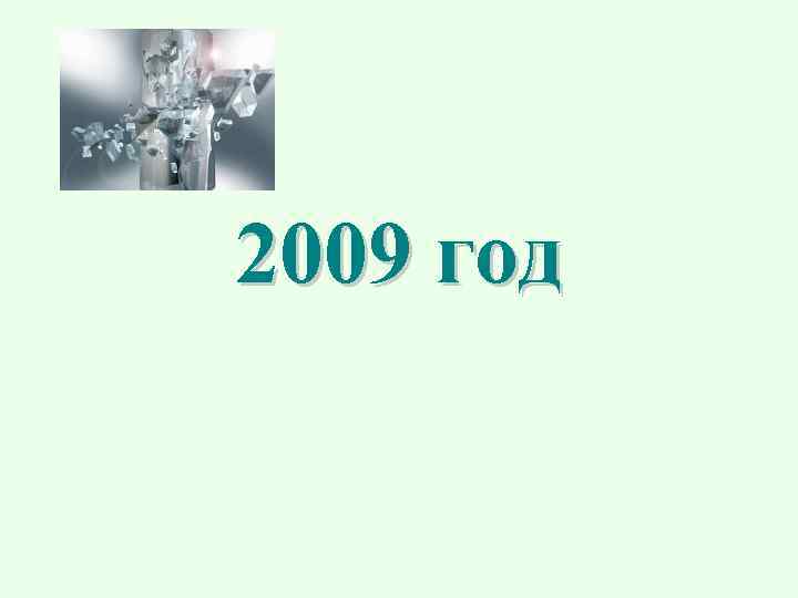 2009 год 