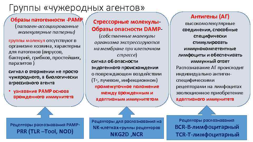 Иммунологические механизмы локального воспаления Foto 18