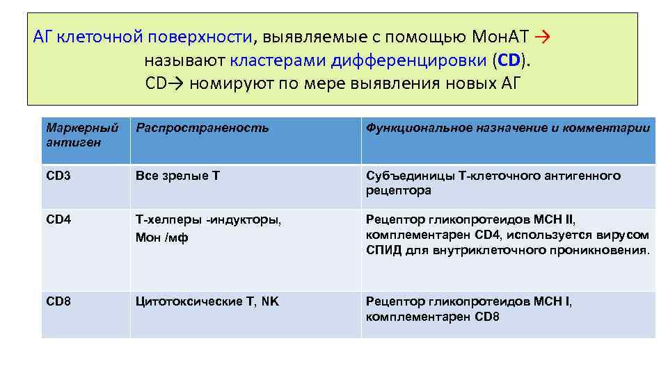 АГ клеточной поверхности, выявляемые с помощью Мон. АТ → называют кластерами дифференцировки (CD). CD→