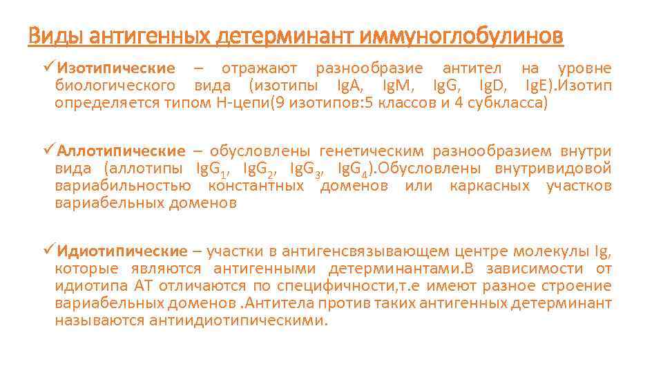 Виды антигенных детерминант иммуноглобулинов üИзотипические – отражают разнообразие антител на уровне биологического вида (изотипы