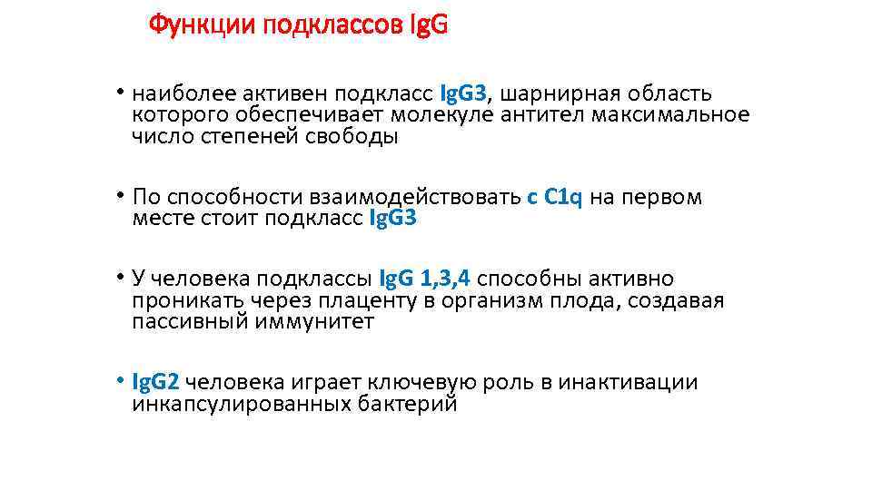 Функции подклассов Ig. G • наиболее активен подкласс Ig. G 3, шарнирная область которого