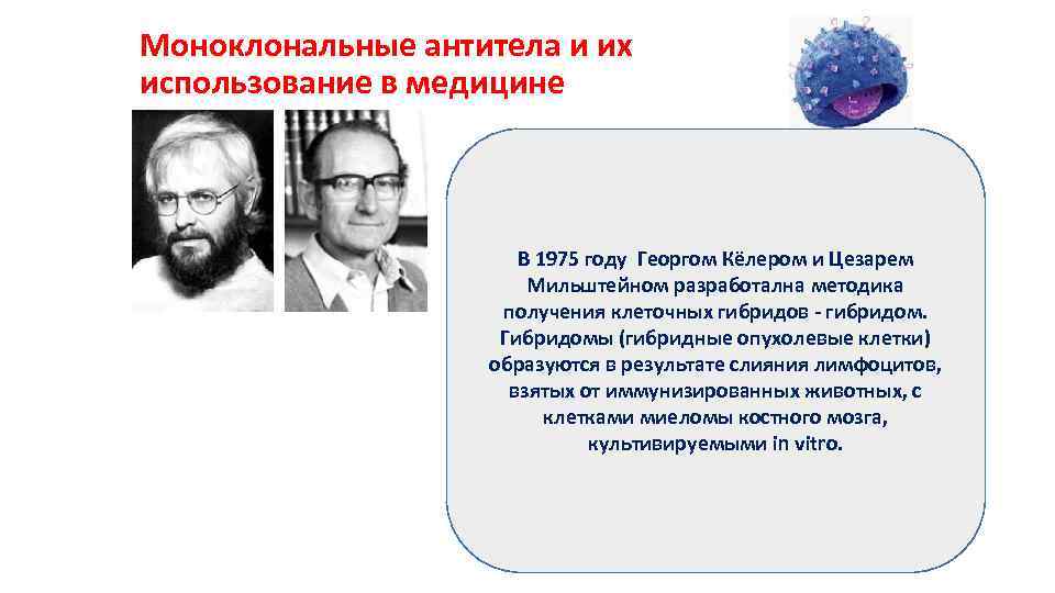Моноклональные антитела и их использование в медицине В 1975 году Георгом Кёлером и Цезарем