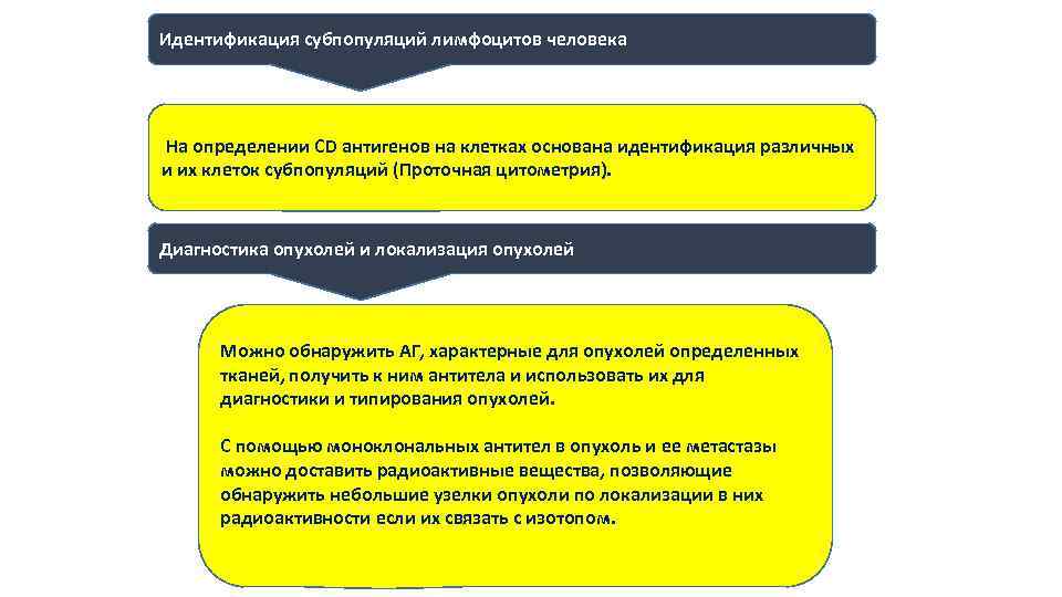 Идентификация субпопуляций лимфоцитов человека На определении CD антигенов на клетках основана идентификация различных и