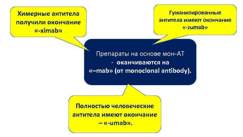Гуманизированные антитела имеют окончание «-zumab» Химерные антитела получили окончание «-ximab» Препараты на основе мон-АТ