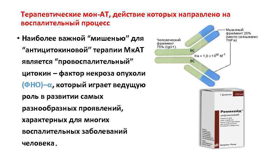Терапевтические мон-АТ, действие которых направлено на воспалительный процесс • Наиболее важной “мишенью” для “антицитокиновой”