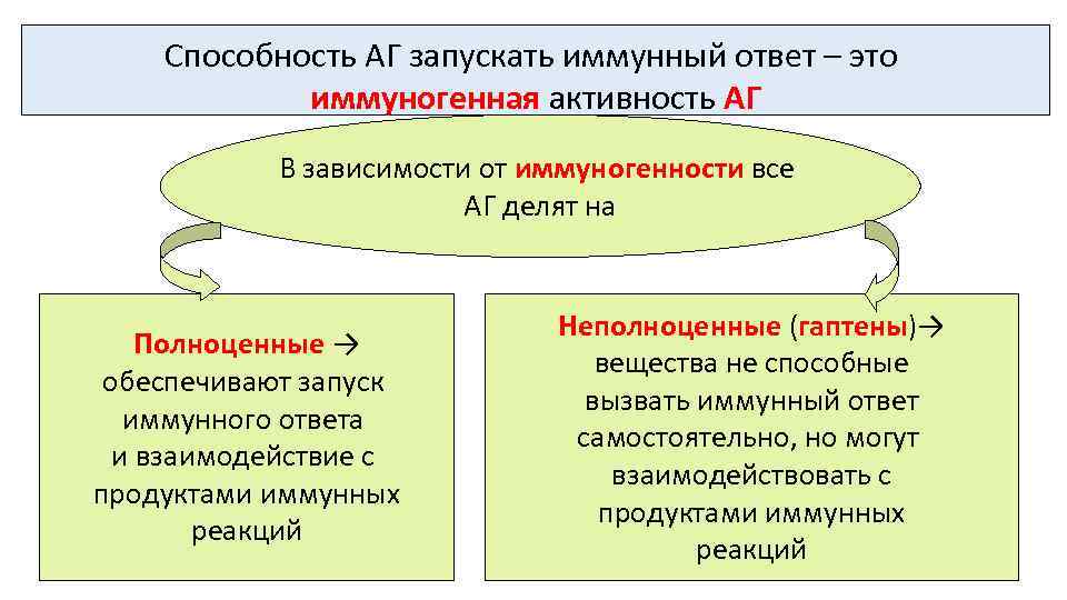 Способность АГ запускать иммунный ответ – это иммуногенная активность АГ В зависимости от иммуногенности