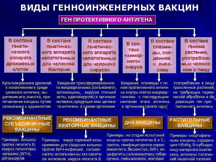 ВИДЫ ГЕННОИНЖЕНЕРНЫХ ВАКЦИН ГЕН ПРОТЕКТИВНОГО АНТИГЕНА В составе генетического аппарата дрожжевых клеток В составе