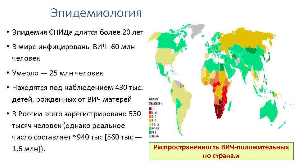 Эпидемиология • Эпидемия СПИДа длится более 20 лет • В мире инфицированы ВИЧ -60