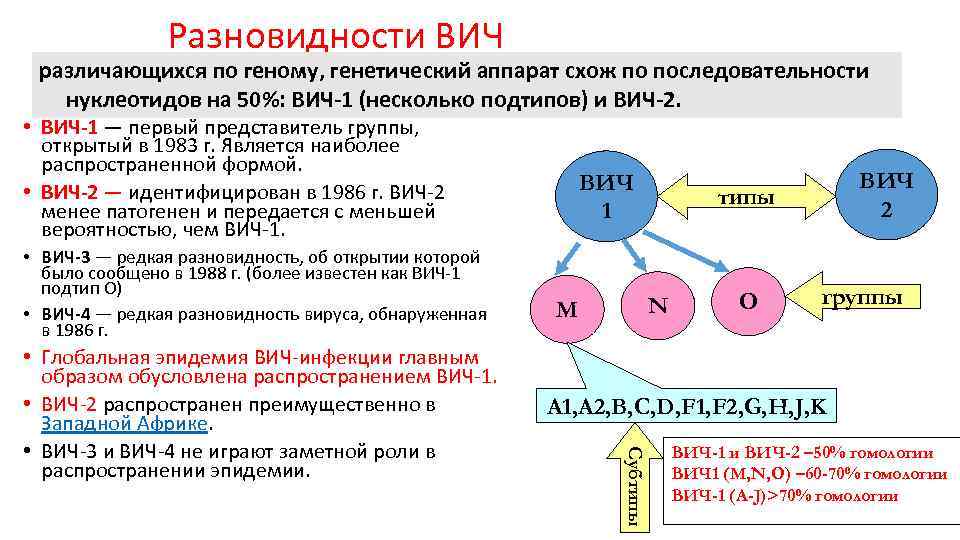 Разновидности ВИЧ различающихся по геному, генетический аппарат схож по последовательности нуклеотидов на 50%: ВИЧ-1