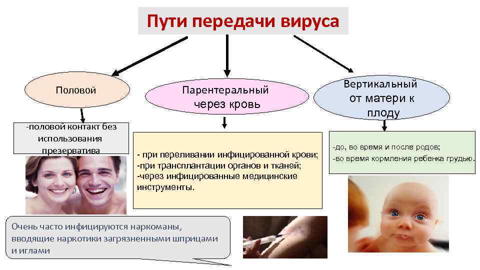 Пути передачи вируса Половой Парентеральный через кровь Вертикальный от матери к плоду -половой контакт