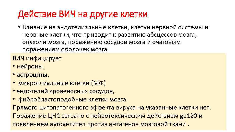 Действие ВИЧ на другие клетки • Влияние на эндотелиальные клетки, клетки нервной системы и