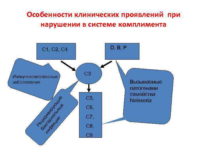 Особенности клинических проявлений при нарушении в системе комплимента D, B, P C 1, C