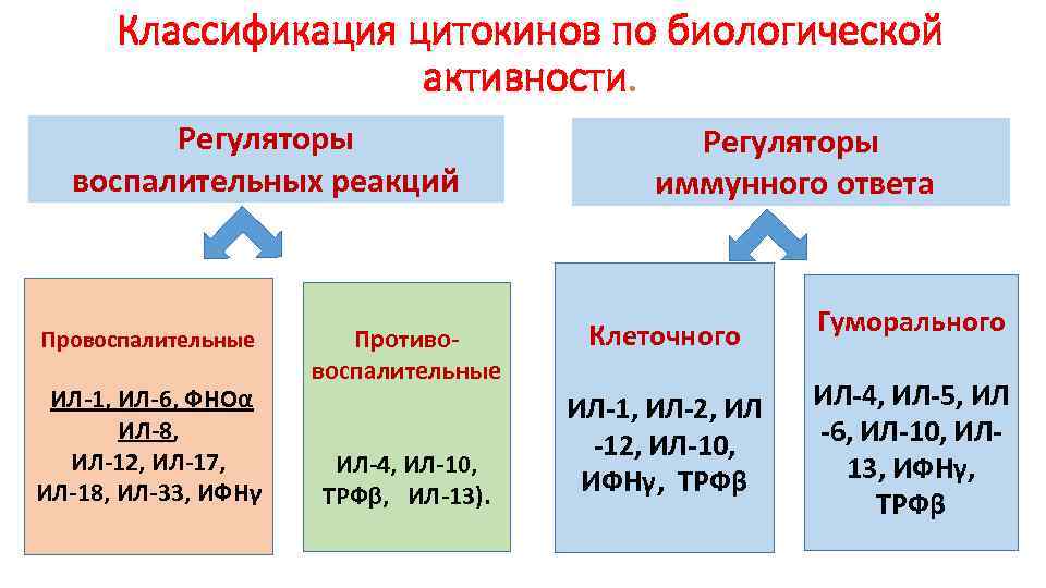 Классификация цитокинов по биологической активности. Регуляторы воспалительных реакций Провоспалительные ИЛ-1, ИЛ-6, ФНОα ИЛ-8, ИЛ-12,
