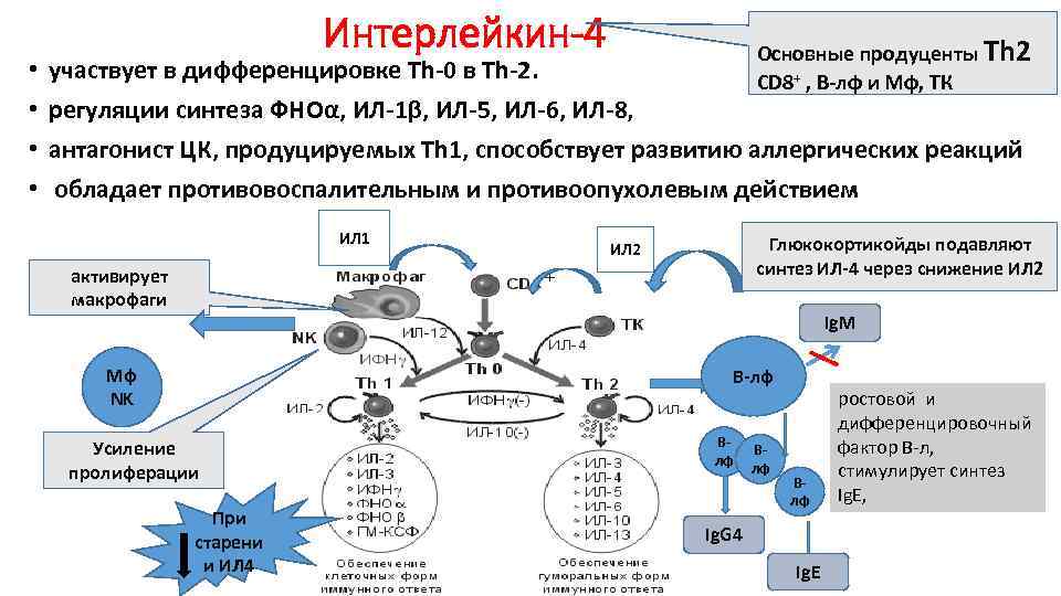 Регуляция иммунных процессов