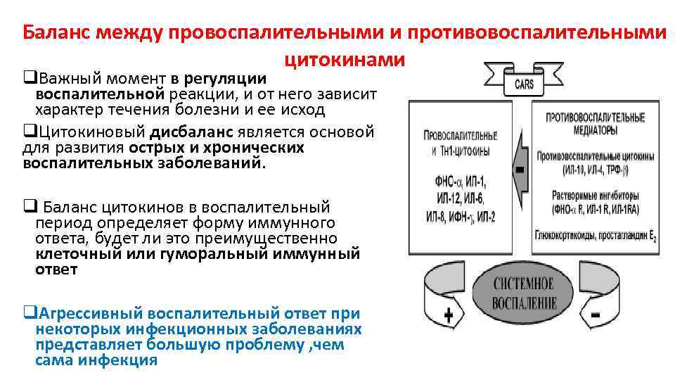 Регуляция иммунного ответа презентация