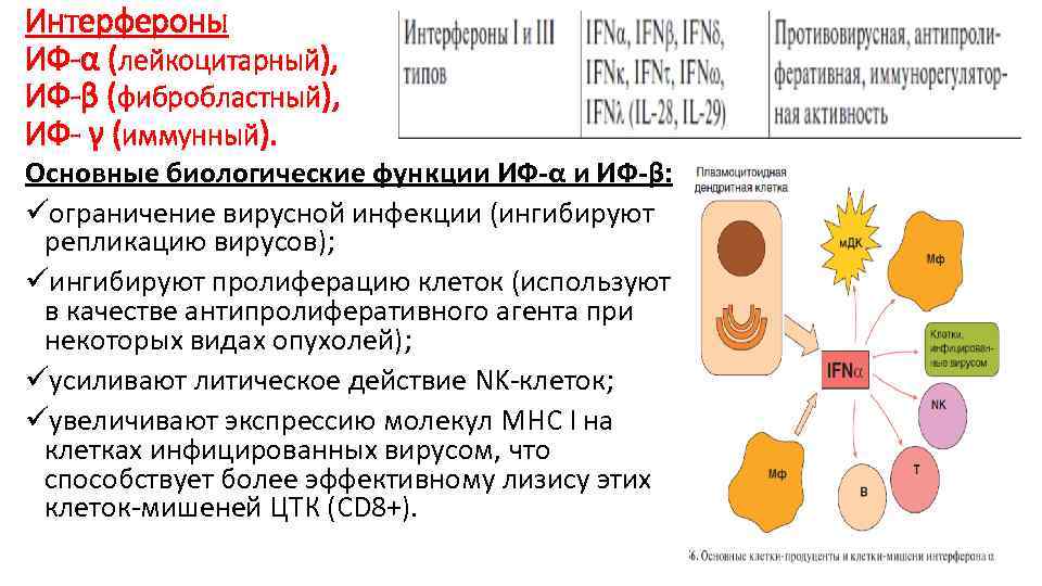 Цитокины интерферон