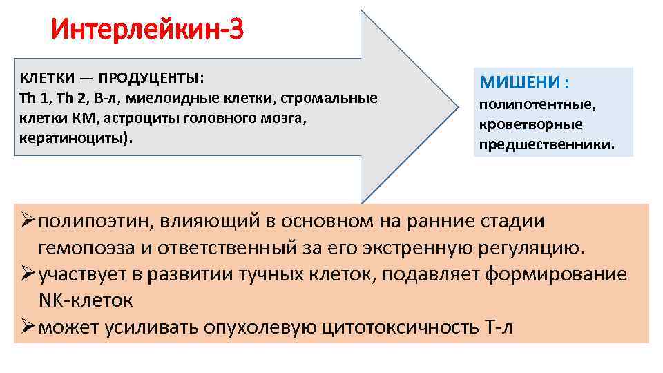 Интерлейкин-3 КЛЕТКИ — ПРОДУЦЕНТЫ: Тh 1, Тh 2, В-л, миелоидные клетки, стромальные клетки КМ,