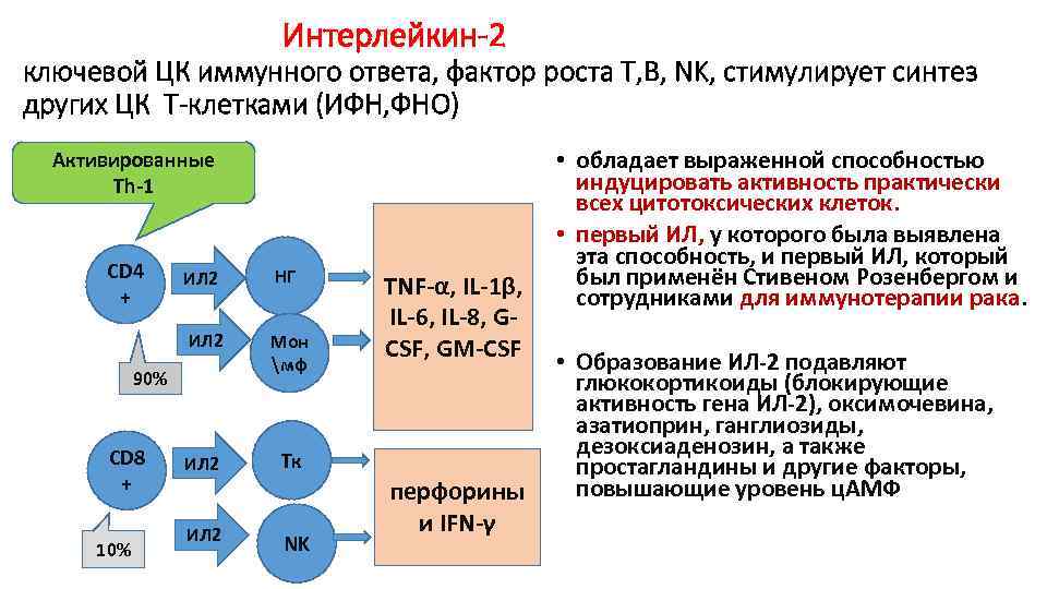Интерлейкин-2 ключевой ЦК иммунного ответа, фактор роста Т, В, NK, стимулирует синтез других ЦК