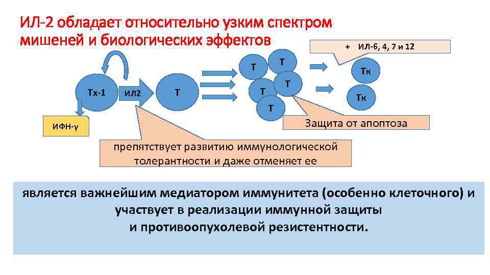 Презентация гормоны и медиаторы иммунной системы