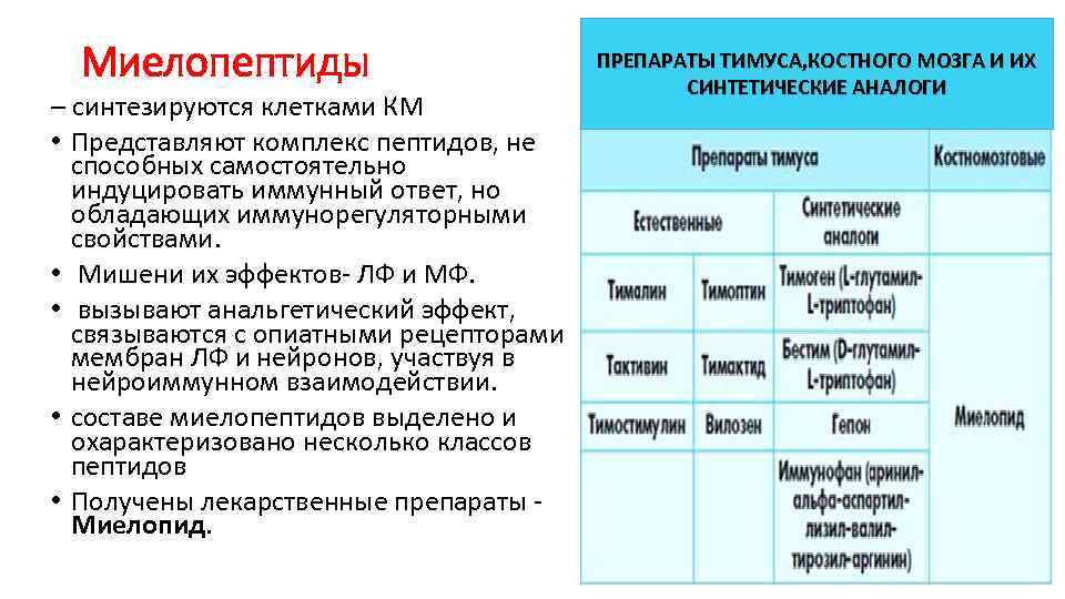 Миелопептиды – синтезируются клетками КМ • Представляют комплекс пептидов, не способных самостоятельно индуцировать иммунный