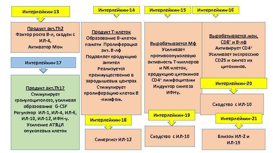 Интерлейкин-13 Продукт акт. Тh 2 Фактор роста В-л, сходен с ИЛ-4, Активатор Мон Интерлейкин-17