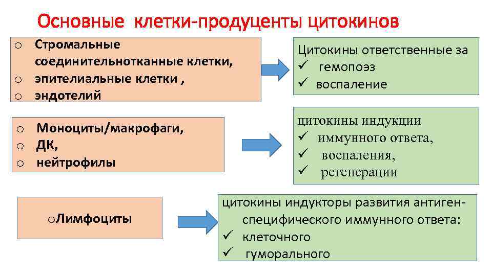 Схема цитокиновой регуляции иммунного ответа