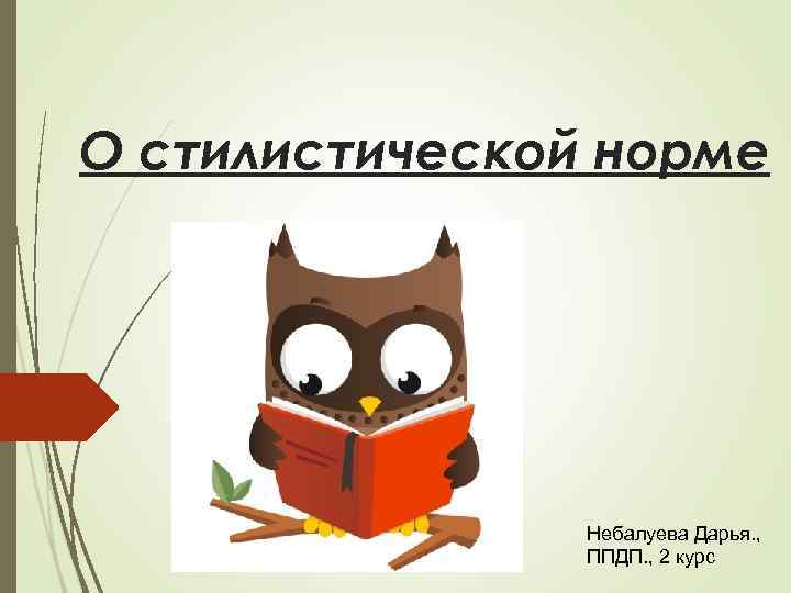 О стилистической норме Небалуева Дарья. , ППДП. , 2 курс 