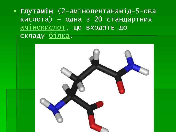 § Глутамін (2 -амінопентанамід-5 -ова кислота) — одна з 20 стандартних амінокислот, що входять