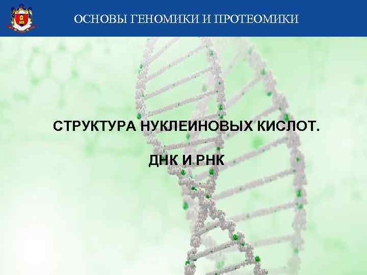 ОСНОВЫ ГЕНОМИКИ И ПРОТЕОМИКИ СТРУКТУРА НУКЛЕИНОВЫХ КИСЛОТ. ДНК И РНК 