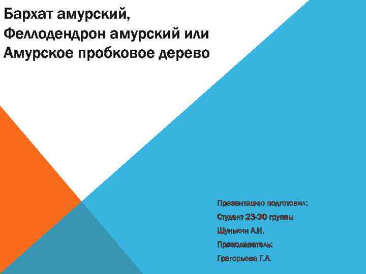 Бархат амурский, Феллодендрон амурский или Амурское пробковое дерево Презентацию подготовил: Студент 23 -ЭО группы