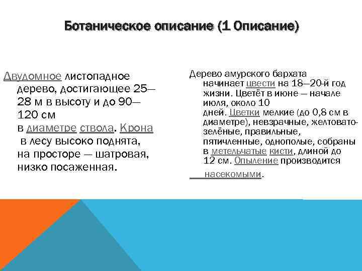 Ботаническое описание (1 Описание) Двудомное листопадное дерево, достигающее 25— 28 м в высоту и