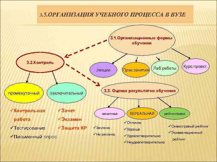 Организация образовательного процесса в школе