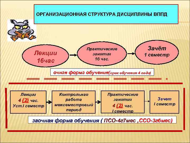 ОРГАНИЗАЦИОННАЯ СТРУКТУРА ДИСЦИПЛИНЫ ВППД Лекции 16 час Практические занятия 16 час. Зачёт 1 семестр