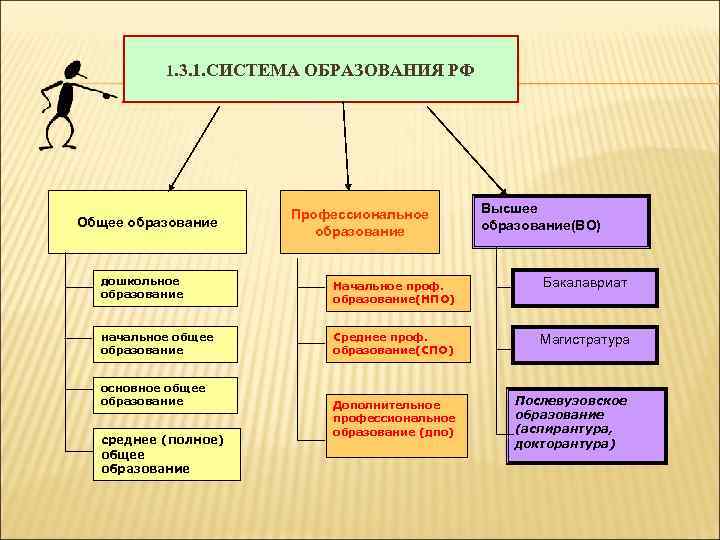 1. 3. 1. СИСТЕМА ОБРАЗОВАНИЯ РФ Общее образование дошкольное образование начальное общее образование основное